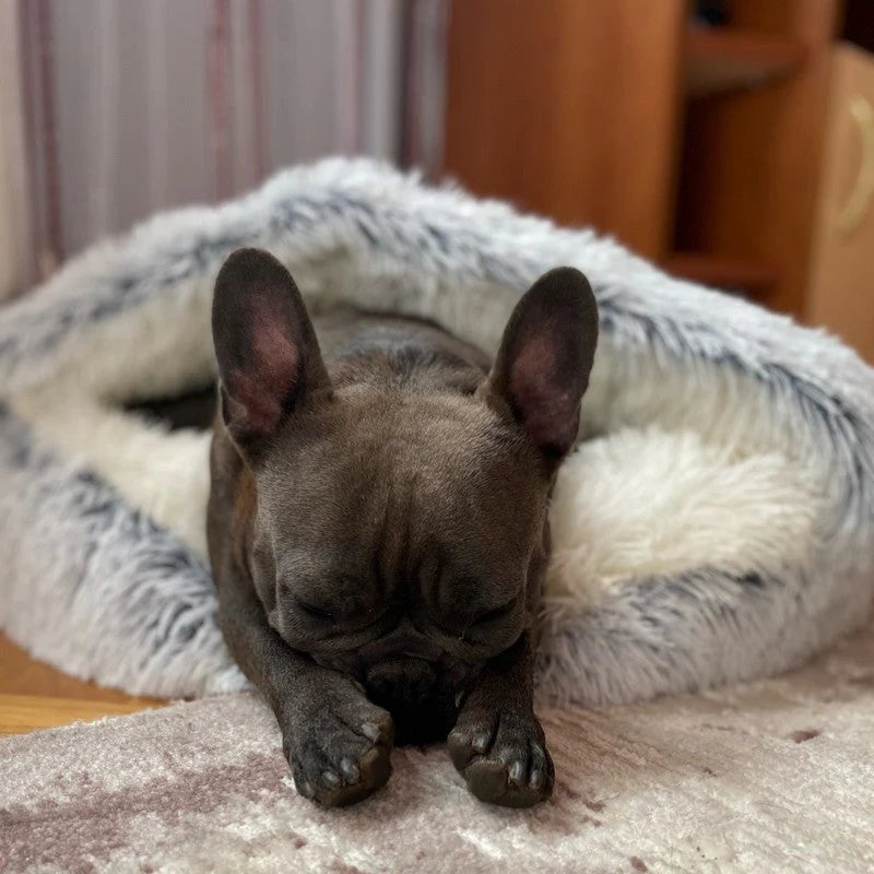 Comment améliorer la qualité du sommeil de votre animal ?